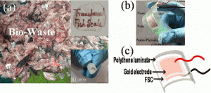 Fabrication of flexible (BPNG) from bio-waste fish-scale (FSC) a) photographs of the bio-waste raw FSC, and demineralised FSC, b) flexibility of the BPNG shown by human fingers, and c) schematic diagram of simple BPNG device structure. (Source: APL)